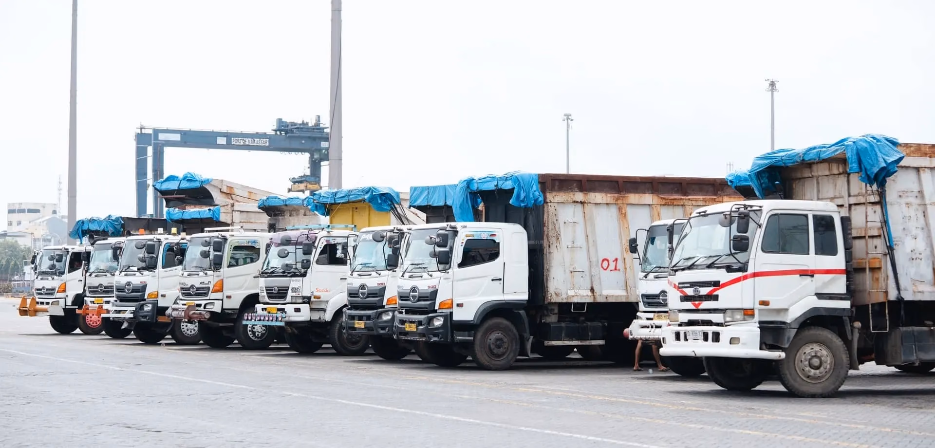 diesel-trucks